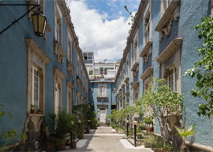 Azul Cordoba By The Local Way Mexico City